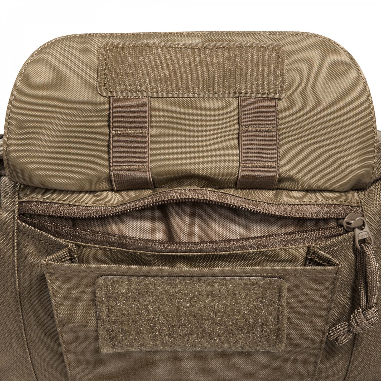 Tasmanian Tiger Modular Hip Bag 2 coyote brown