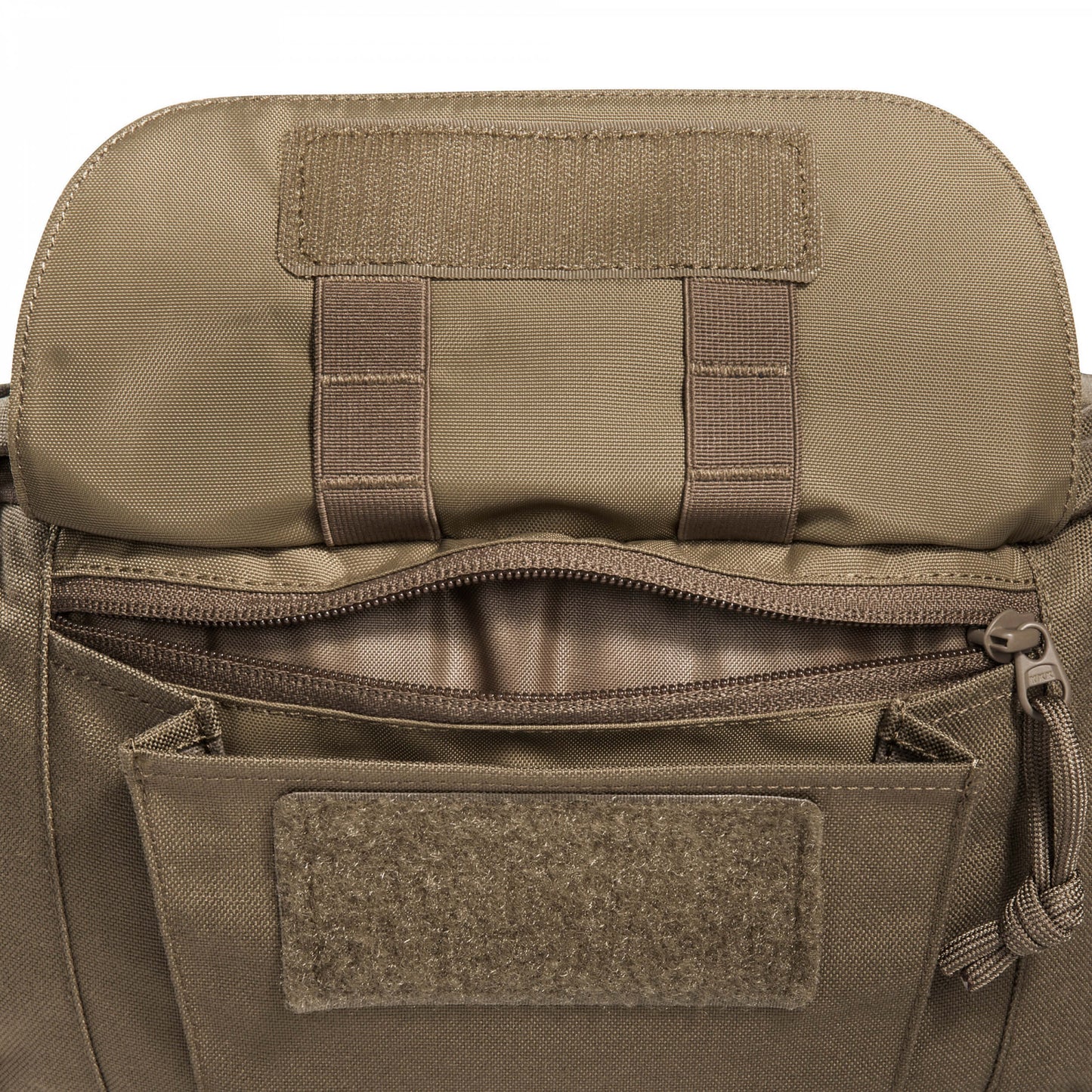 Tasmanian Tiger Modular Hip Bag 2 coyote brown